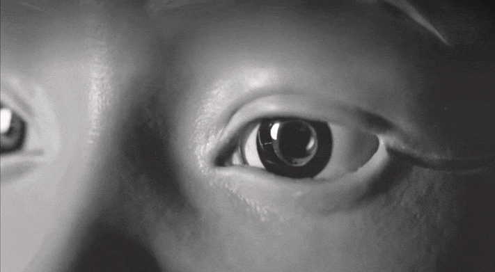 Seeds | 为机器人造“表情头”，滴滴两度加码安徽创企