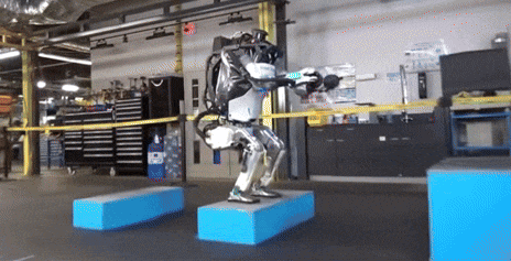 1111 (1).gif 1111 (1).gif