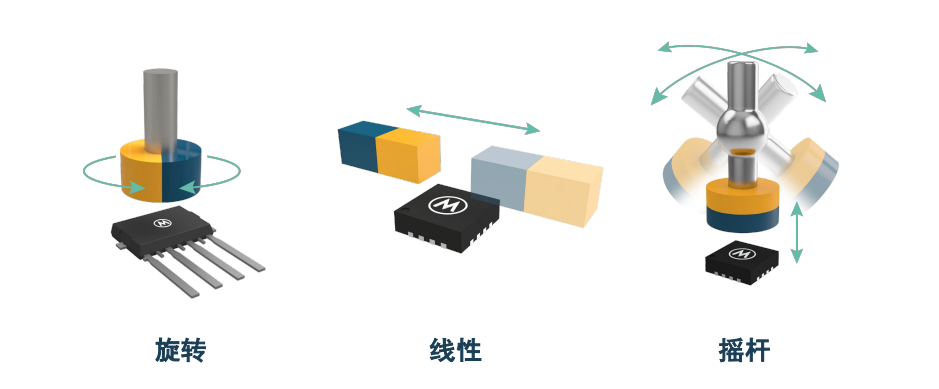 C Talk | 迈来芯：从汽车核心到跨域生态，凭借深厚技术底蕴与创新力驱动可持续增长