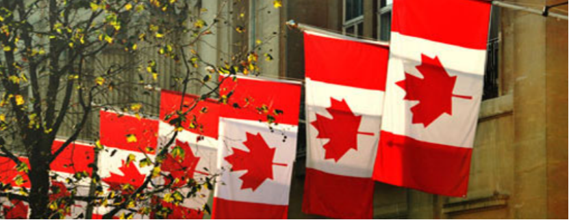 曝加拿大拟定汽车产业新规划，政策向本土设厂企业倾斜