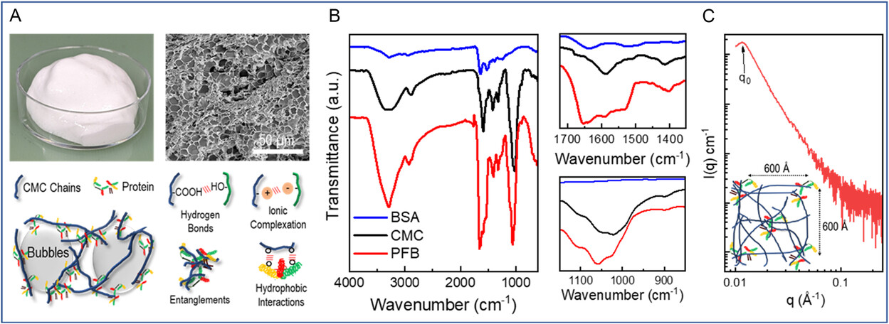 灵感来自厨房 研究人员使用蛋白质泡沫粘合剂或让锂硫电池变得更薄