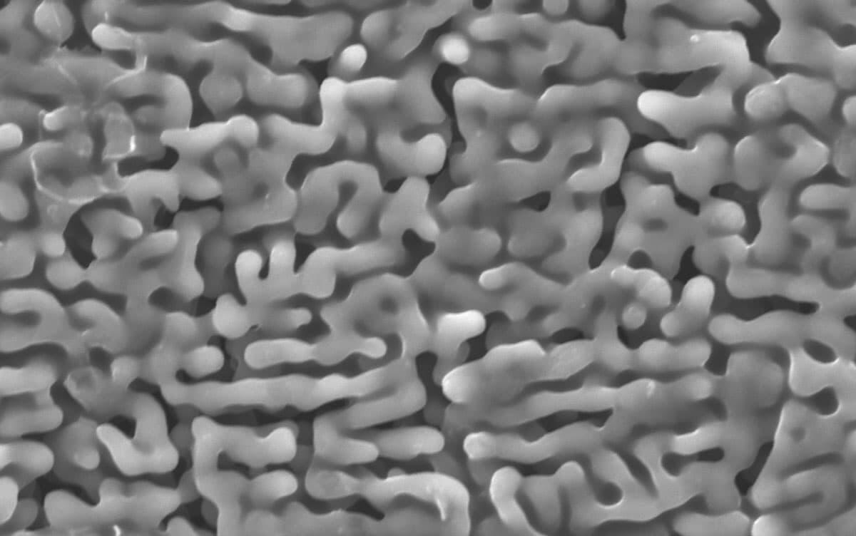 0305 筑波大学.jpg