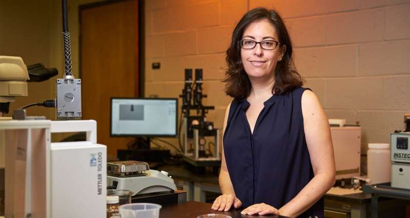 田纳西大学开发解决方案 提高嵌段共聚物的离子电导率