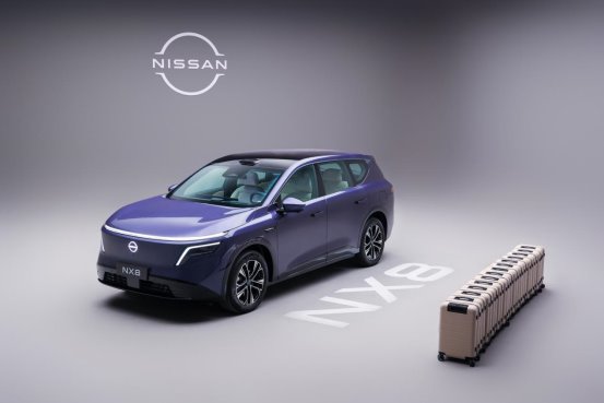 16-装行李箱13个