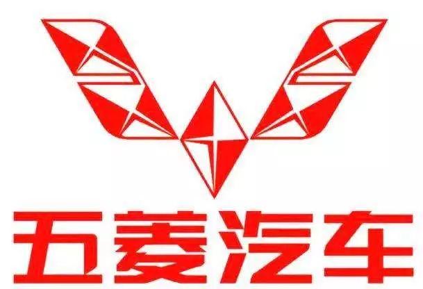 特写丨风雨宏光路,进化正当时