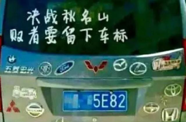 特写丨风雨宏光路,进化正当时