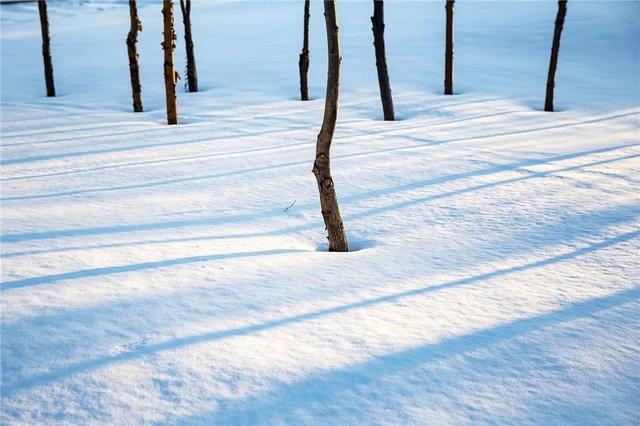 遇强则强，VV7混动家族挑战极限之旅
