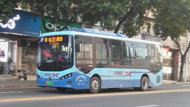 未来，谁有实力成为自主品牌的老大？